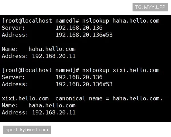 VAR规则四类可复核情形与裁判最终判罚权限