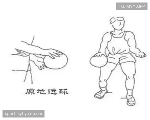 如何理解篮球的运球规则？新手必须知道的要点